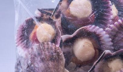 Mariscos grid