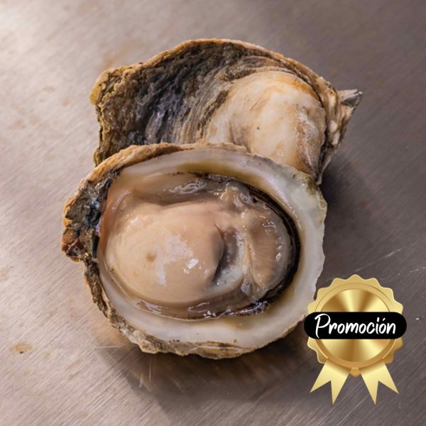50 Ostras Victoria   promoción